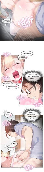 A Pervert's Daily Life Ch. 1-71 : página 893