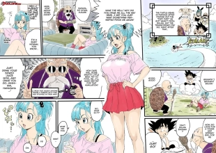 hentai Bulma x Turtle Hermit - Last