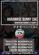 Haramase Bunny C&C : página 47