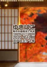 Nazrin to Seishugyou Yukibako 2020-12 Air Comike 2 : página 27