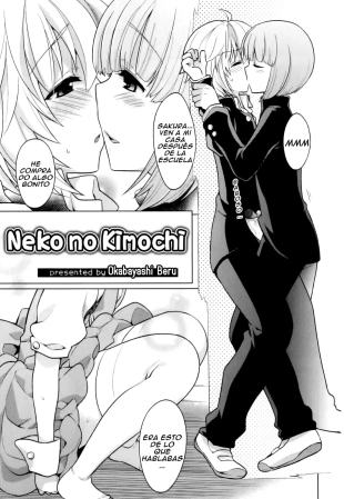 hentai Neko no Kimochi