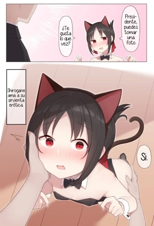 hentai Nekomimi no Kaguya-sama