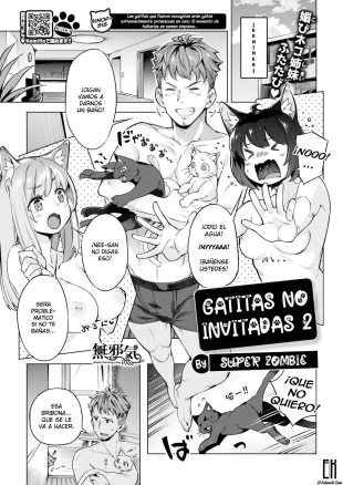 hentai Gatitas no invitadas 2