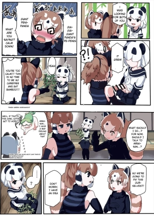 hentai Panda Harem