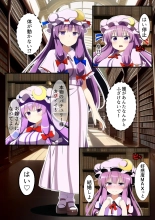 Patchouli-sama o Saimin shite Ore Senyou Onaho Yome ni Shita Ken : página 5