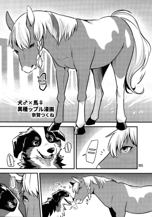 hentai Perro♂×Caballo♀