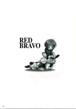 RED BRAVO : página 2