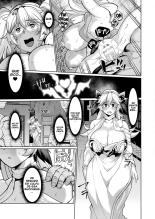 Succubus Curse Daraku no Inbai Hime Zenpen : página 13